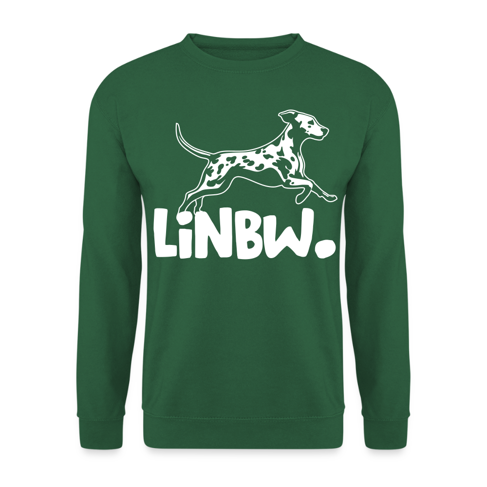LiNBW. Männer Pullover - Grün