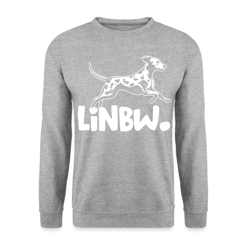 LiNBW. Männer Pullover - Weißgrau meliert