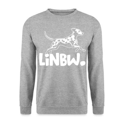 LiNBW. Männer Pullover - Weißgrau meliert