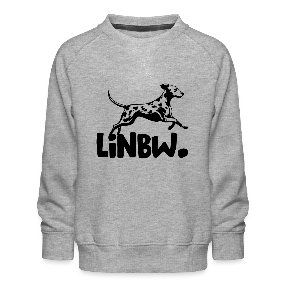 LiNBW. Kinder Pullover - Grau meliert