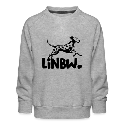 LiNBW. Kinder Pullover - Grau meliert