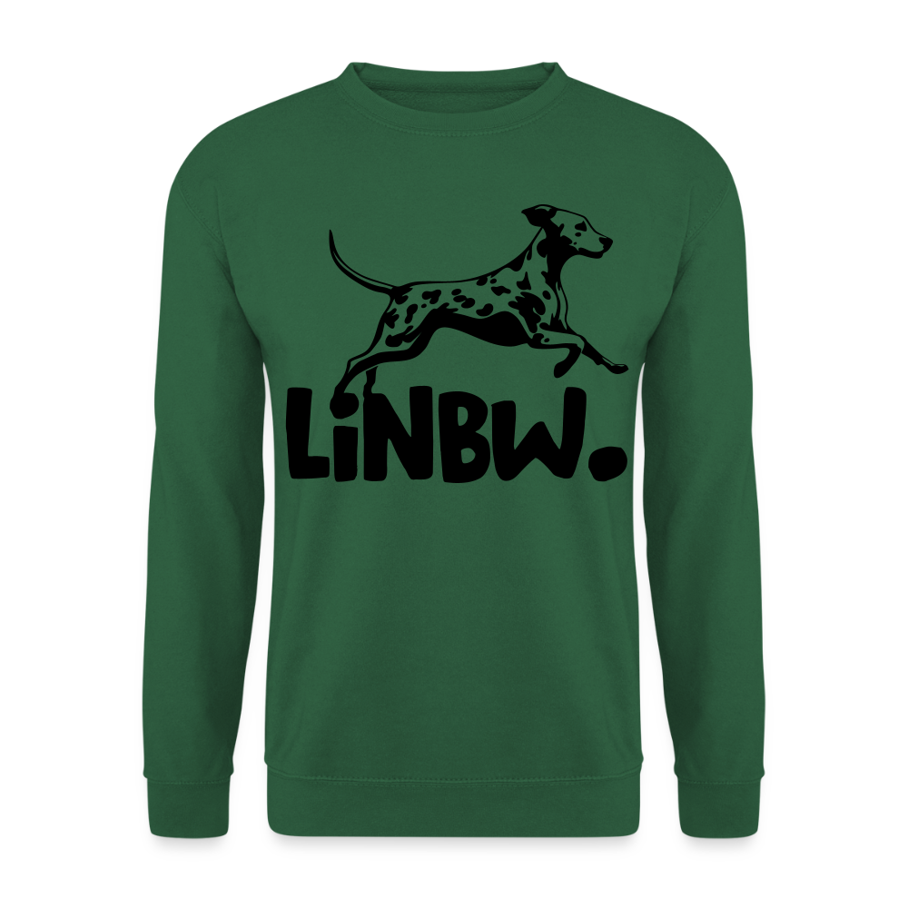LiNBW. Männer Pullover - Grün