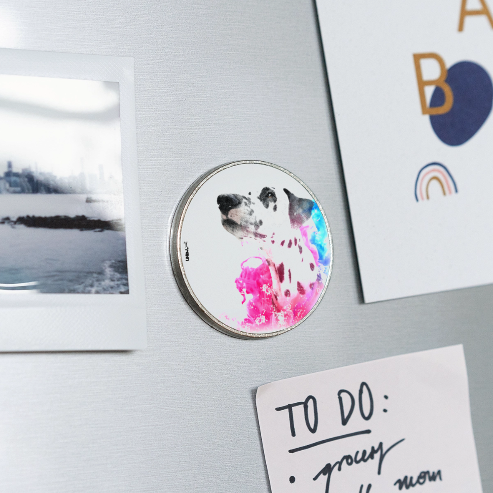 Magnet „Boa Art Edition“ – Dalmatiner trifft Farbexplosion - Weiß