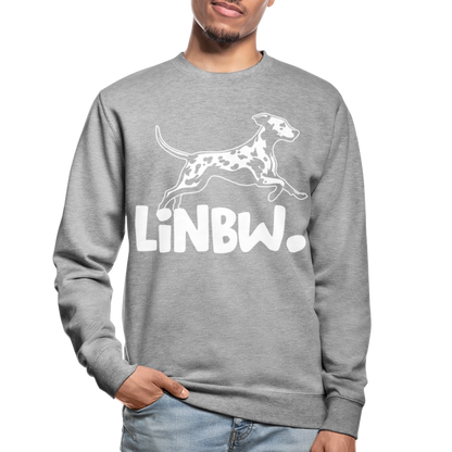 LiNBW. Männer Pullover - Weißgrau meliert