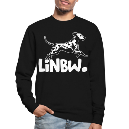 LiNBW. Männer Pullover - Schwarz