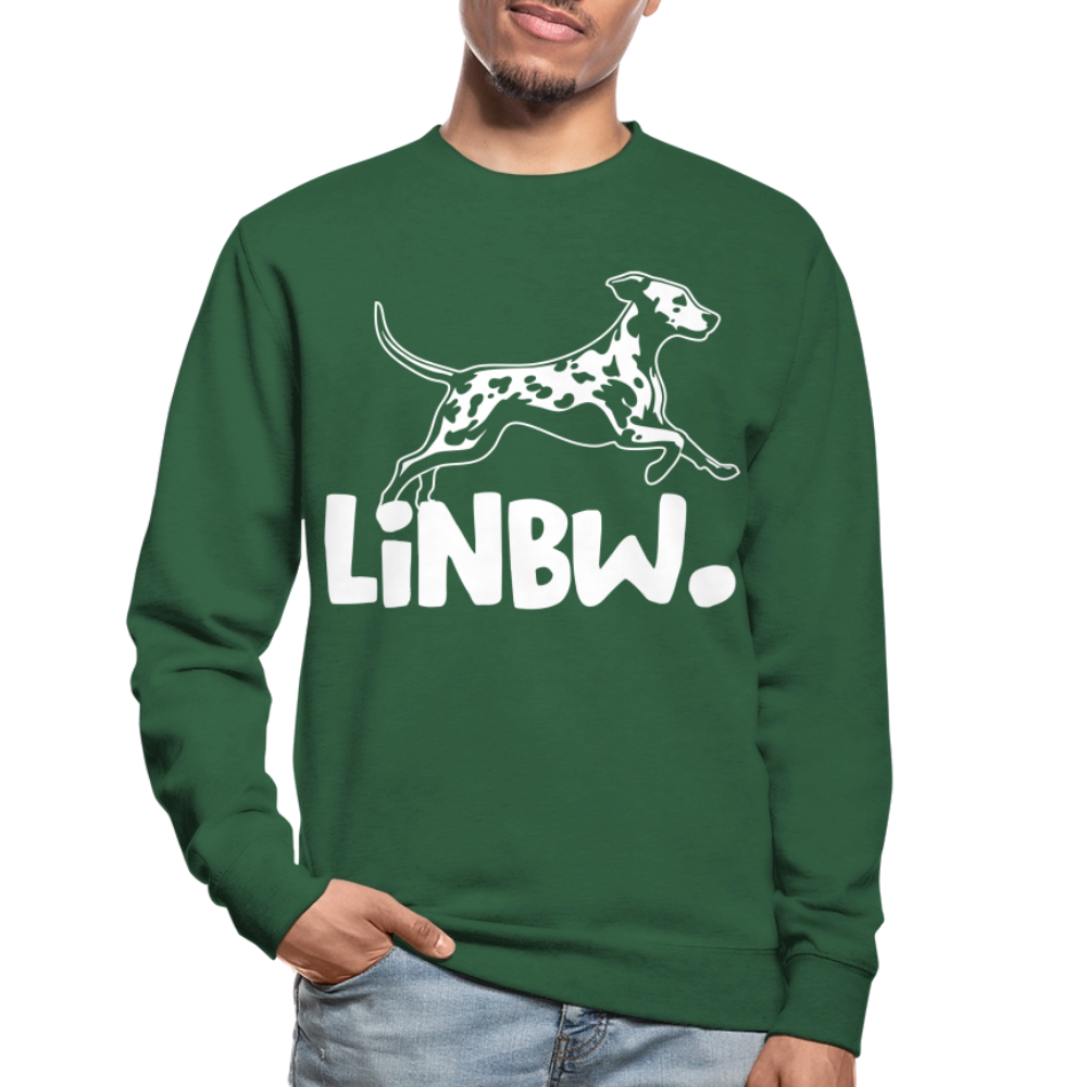 LiNBW. Männer Pullover - Grün