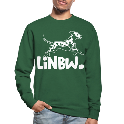 LiNBW. Männer Pullover - Grün