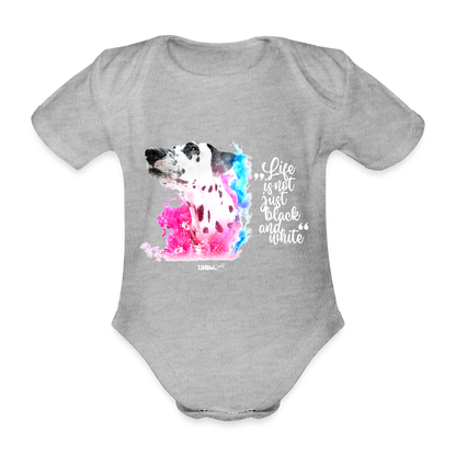 LiNBW. Body Kurzarm Dalmatiner Life is not just black and white - Grau meliert