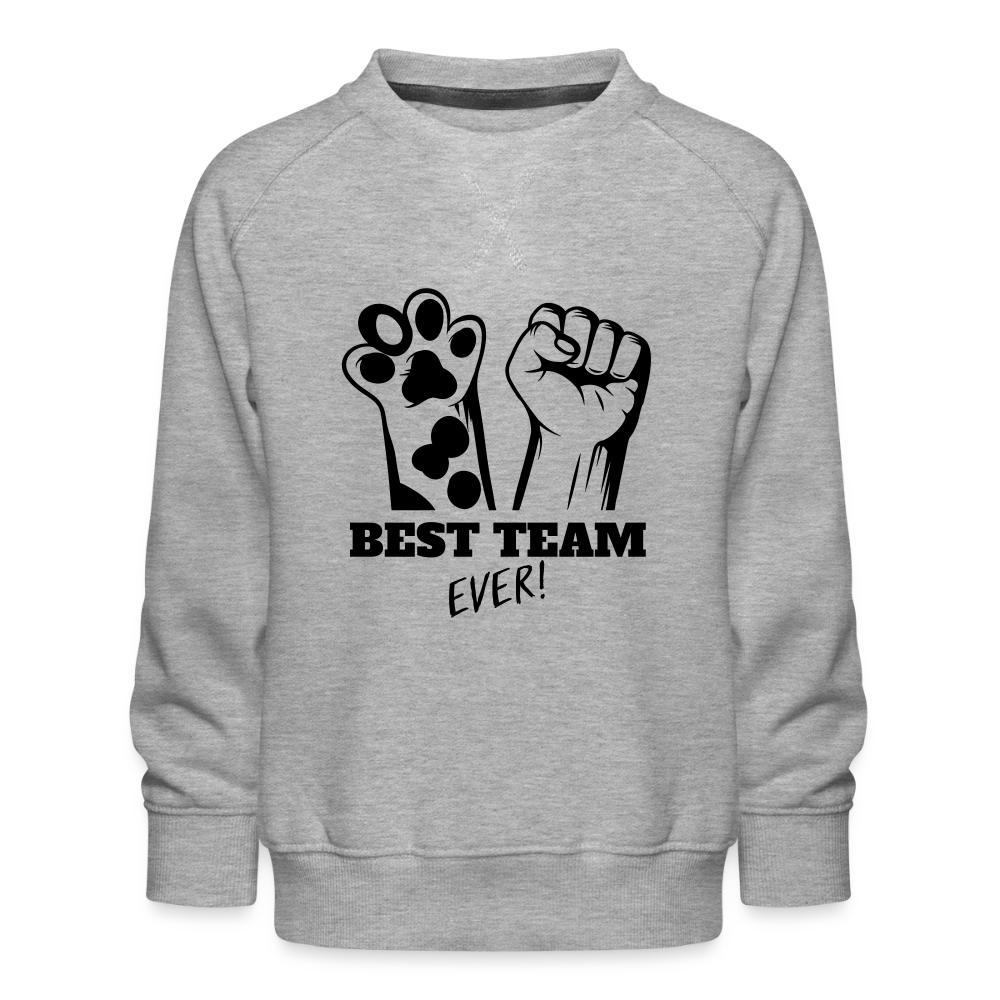 LiNBW. Kinder Pullover Best Team Ever - Grau meliert