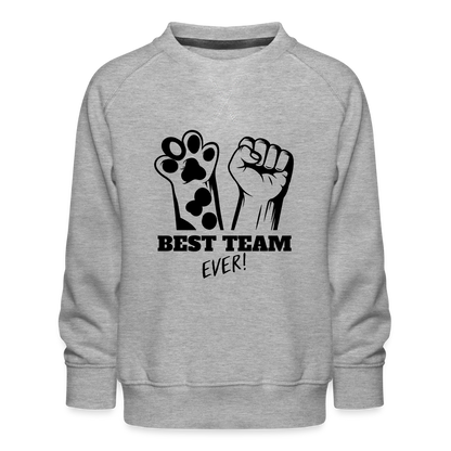 LiNBW. Kinder Pullover Best Team Ever - Grau meliert