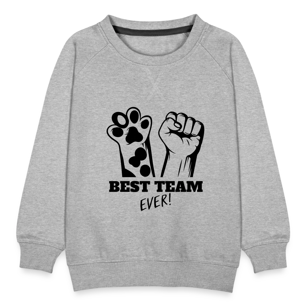 LiNBW. Kinder Pullover Best Team Ever - Grau meliert