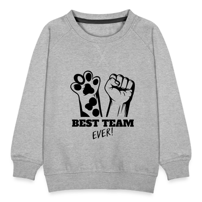 LiNBW. Kinder Pullover Best Team Ever - Grau meliert
