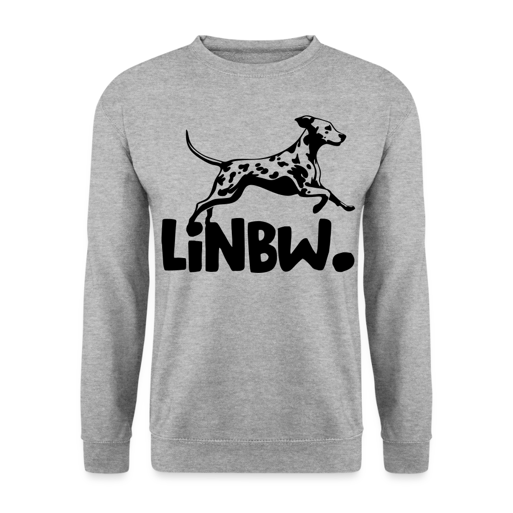 LiNBW. Männer Pullover - Weißgrau meliert