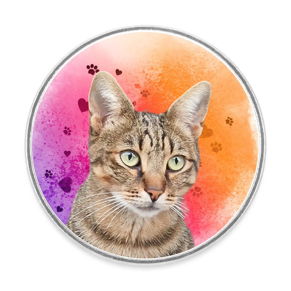 Magnet „Katzenblick voller Liebe“ – Bunte Kühlschrankdeko für Samtpfoten-Fans - Weiß