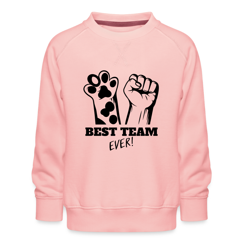 LiNBW. Kinder Pullover Best Team Ever - Kristallrosa