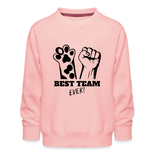 LiNBW. Kinder Pullover Best Team Ever - Kristallrosa