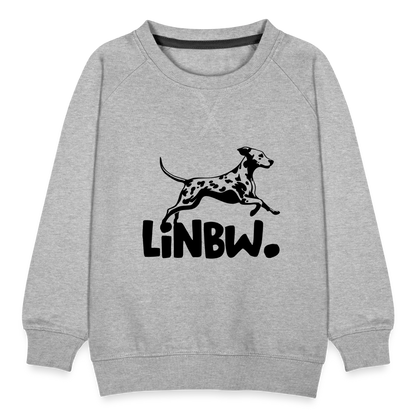 LiNBW. Kinder Pullover - Grau meliert