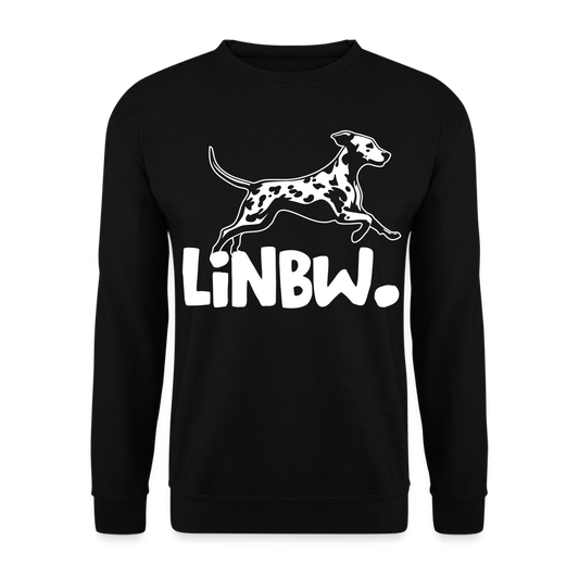 LiNBW. Männer Pullover - Schwarz