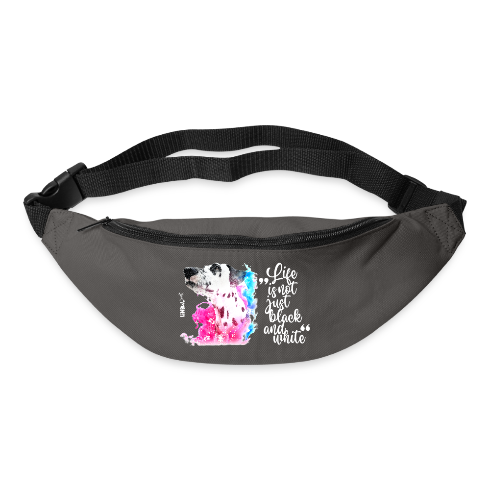 LiNBW. Gürteltasche Dalmatiner Life is not just black and white - Graphite